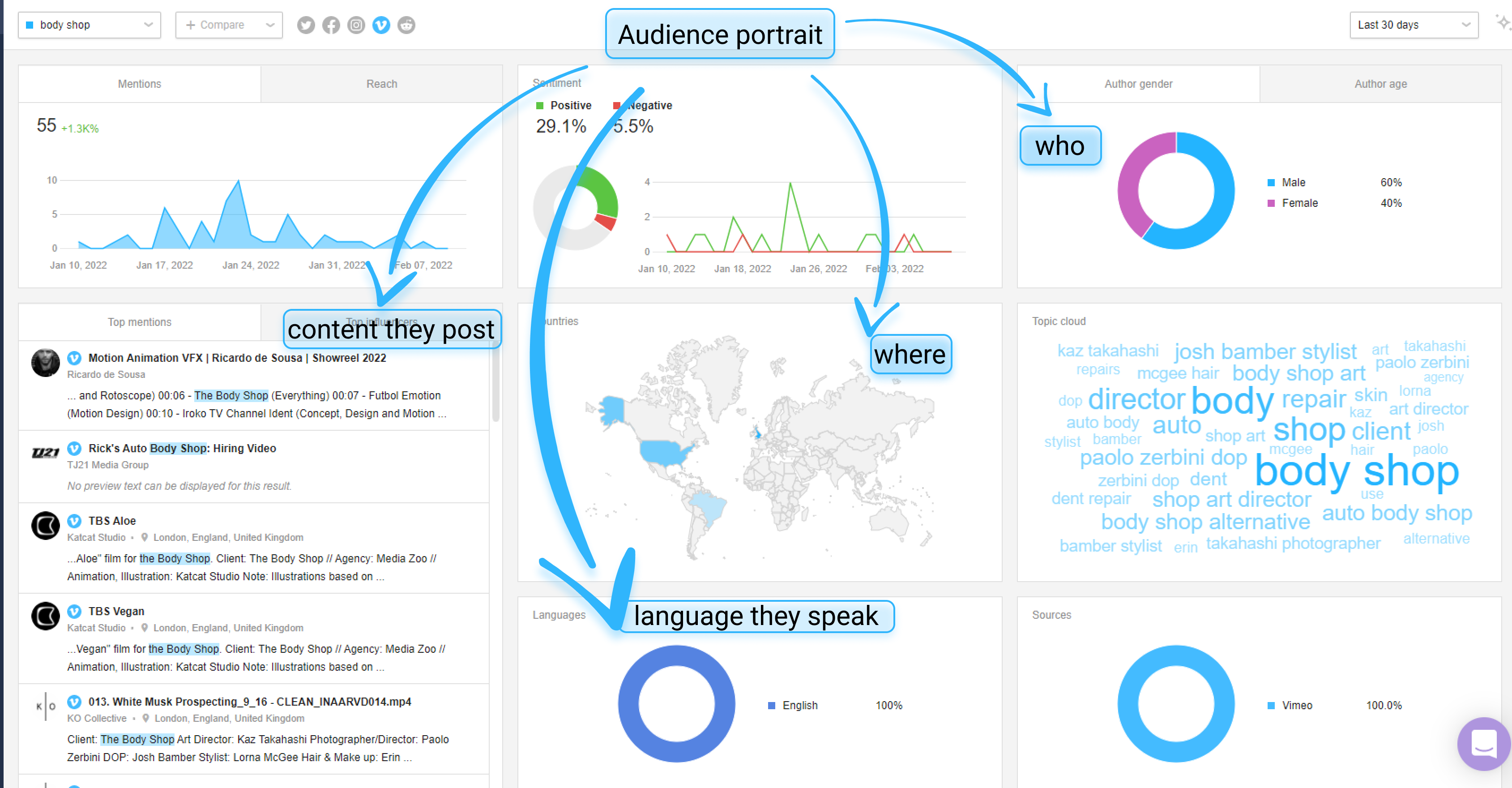 Awario dashboard for Vimeo source with details of audience portrait 