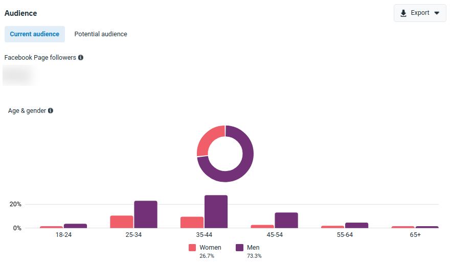 Audience tab In Business Suite Insights