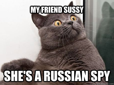 the russian spy cat