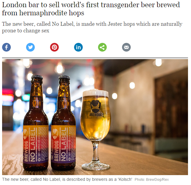 transgender beer