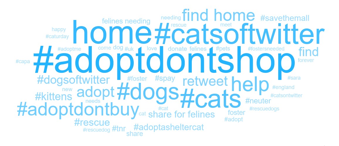 A word cloud with popular phrases and hashtags for Twitter discussions of pets.
