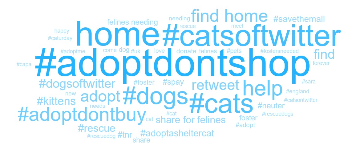 A word cloud with popular phrases and hashtags for Twitter discussions of pets.